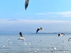 -深圳湾公园(南山区)