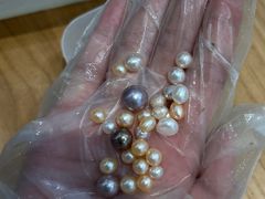 -十八字金·银饰·拼豆·开蚌DIY(魏公芳华里店)