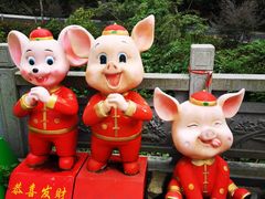 -江西阳明山国家森林公园