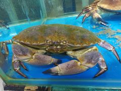 -87号烧烤海鲜·大排档(金沙滩店)