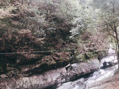 -黄山翡翠谷景区