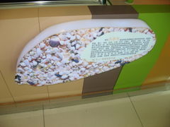 -西龙传香饭团(王府井店)