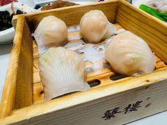 -蘩楼(南京西路中信泰富店)