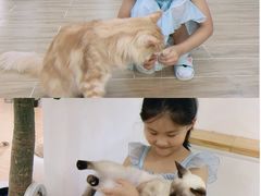 -李小姐の猫咖啡馆(五角场店)