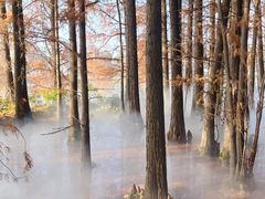 -东湖落雁景区