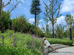 -法华学问寺-停车场