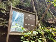-天女山森林公园