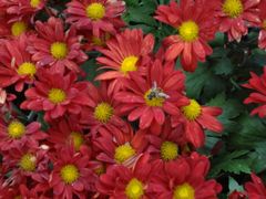 android_upload_pic-沈阳中山公园