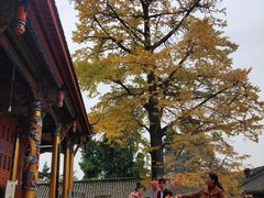 -金堂县云顶石城风景区