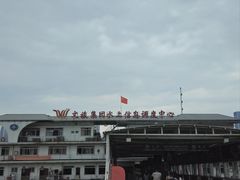 -武汉关码头(轮渡站)