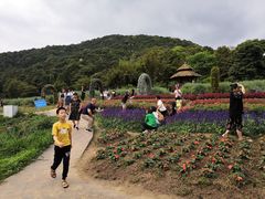 -广州市石门国家森林公园
