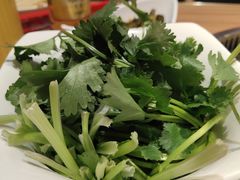 香菜-季季红火锅(长沙步行街店)