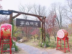 -江苏三台山国家森林公园