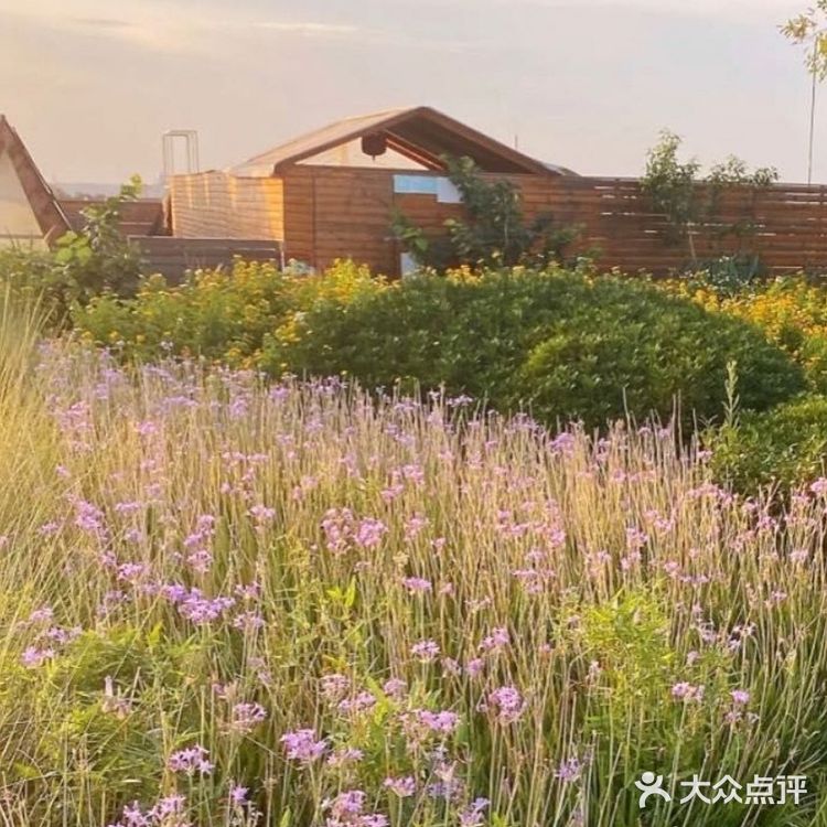 自然气息扑面来～小蜜蜂欢乐多