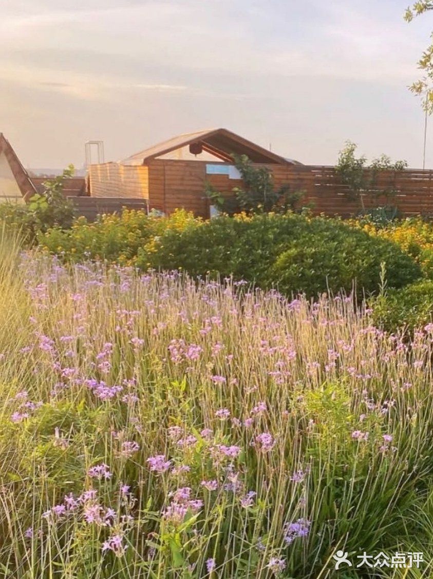 自然气息扑面来～小蜜蜂欢乐多