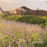 自然气息扑面来～小蜜蜂欢乐多