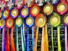 -青奢宠物·青奢猫舍