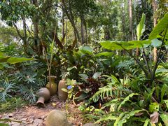 -中国科学院西双版纳热带植物园
