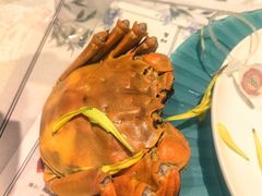 -阳澄湖费尔蒙酒店颐丰阁中餐厅(马鞍山西路店)