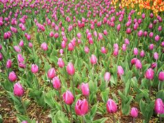 -长春公园(普阳街道)