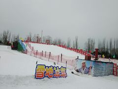 -北京亚布洛尼朝阳公园滑雪场