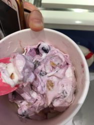 -朵莉丝希腊冻酸奶