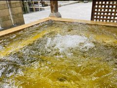 -春晖园度假酒店温泉