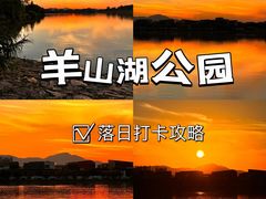 -羊山湖公园