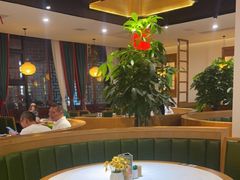 -大鸽饭(马王堆店)