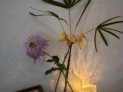 -昼夜咖啡馆