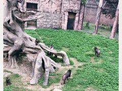 -南昌动物园