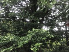 -径山寺