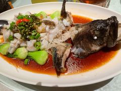 味淋鲜花椒龙趸-维园悦谱·海派家常菜(乌鲁木齐南路店)