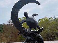 -广东惠东海龟国家级自然保护区
