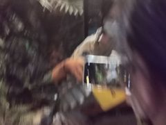 -侏罗纪世界电影特展(广州站)