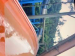 -重庆海昌加勒比海水世界