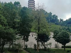 -深圳国际园林花卉博览园