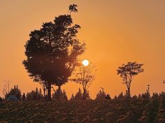 -狼山风景名胜区