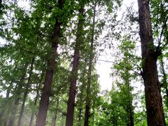 -国家植物园南园