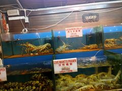 -真浪花园海鲜餐馆
