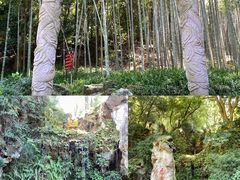 -杭州黄龙洞