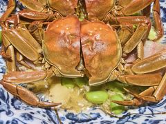 -新光酒家·河豚·海鲜·蟹料理(浦东店)
