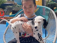 -上海崇明金茂凯悦酒店