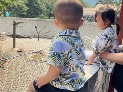 -西安秦岭野生动物园