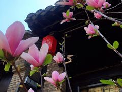 -回龙窝历史文化街区