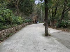 -湖洞水自然风景区