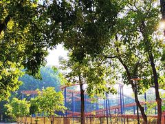 -揭东万竹园旅游景区