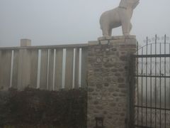 -东方巨龟苑景区