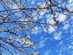 -广州市流溪河国家森林公园