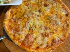 -百好乐宠物友好餐厅(朝外大街店)